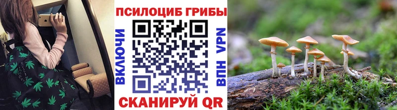 Псилоцибиновые грибы мицелий  Первоуральск 