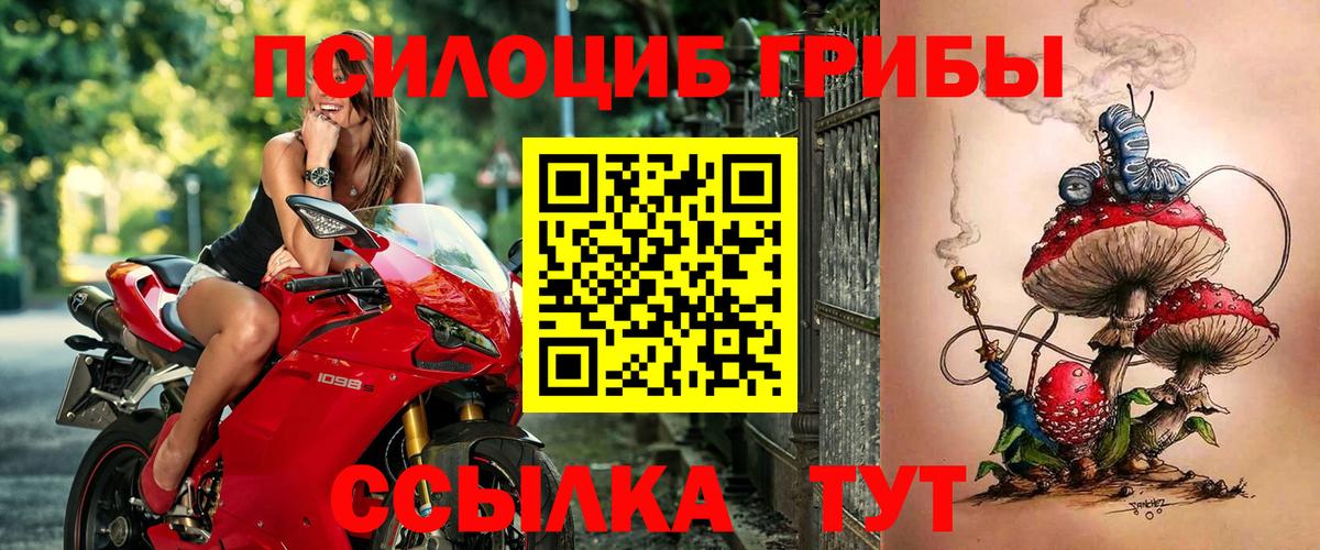 Псилоцибиновые грибы Psilocybe  Вход с VPN  Псилоцибиновые грибы Psilocybine cubensis  Первоуральск 