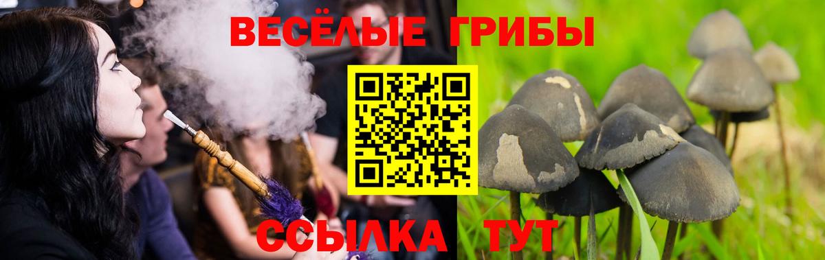 Галлюциногенные грибы Magic Shrooms Первоуральск